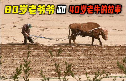 图片[1]-安食人第三核心价值观------谦卑勤恳负责任-安食科技_AI美食机_功能大米_安食科技智慧餐饮